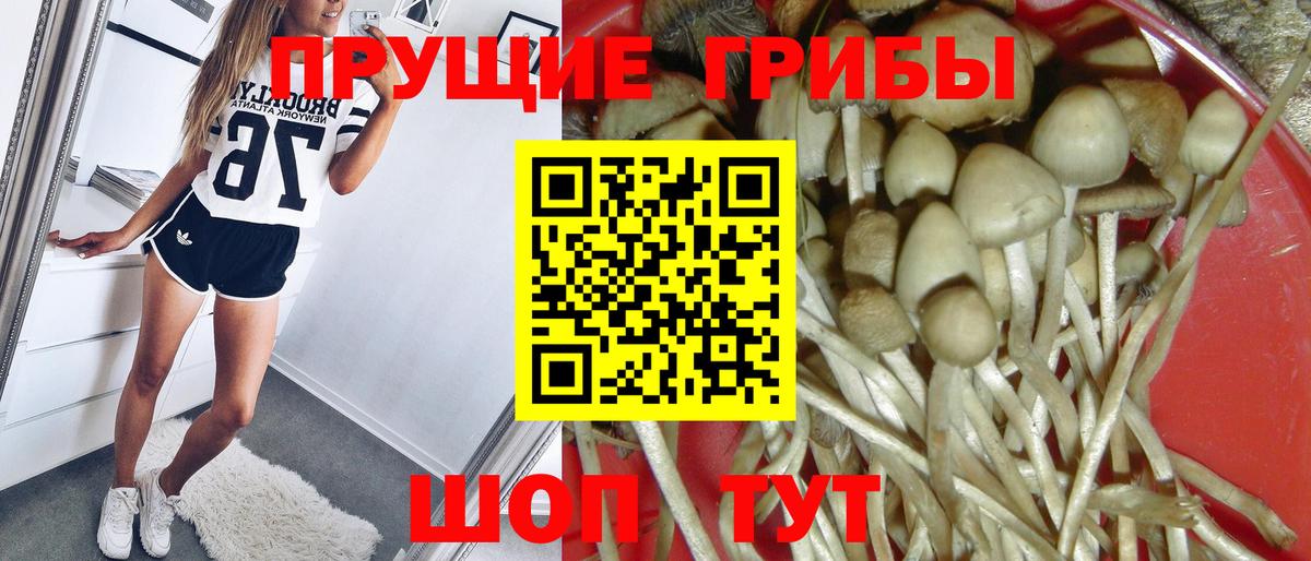 Псилоцибиновые грибы мухоморы  Вход с VPN  Дзержинск 
