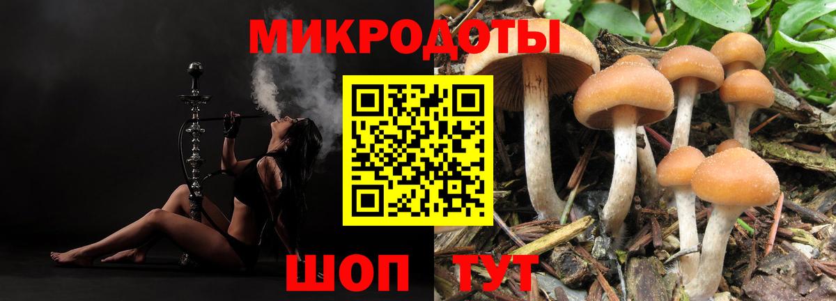 Галлюциногенные грибы Psilocybine cubensis Дзержинск